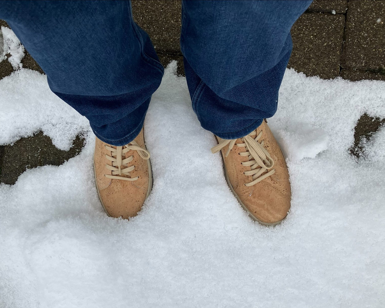 Sneakers im Schweizer Winter