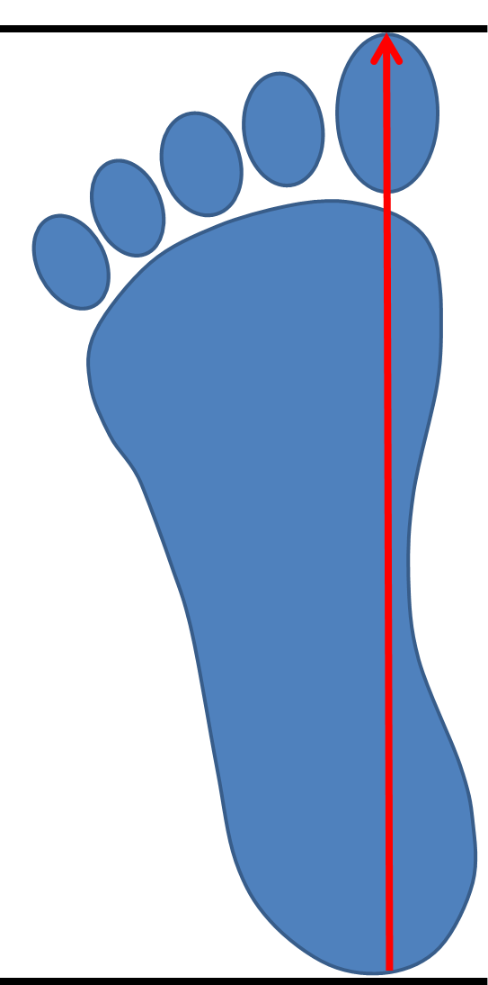 Für unsere FlipFlops, Latschen, Pantoffeln und Sandalen, können Sie die Schuhgrösse auf demselben Weg, wie für die Zimtsohlen ermitteln. Alternativ können Sie für die Schuhe auch Ihre tatsächliche Fusslänge messen und damit Ihre Grösse ermitteln.